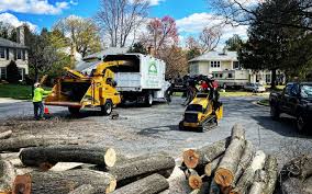 Professional Tree Removal and Landscaping Services in Callaway, FL